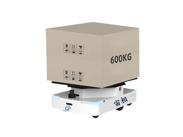 潜伏式AMR600公斤载重